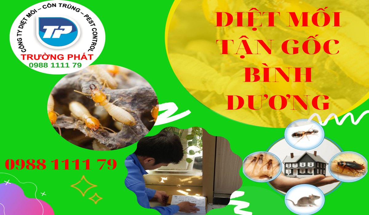 Diệt mối tận gốc tại bình dương uy tín nhất Diệt mối tận gốc tại bình dương uy tín nhất