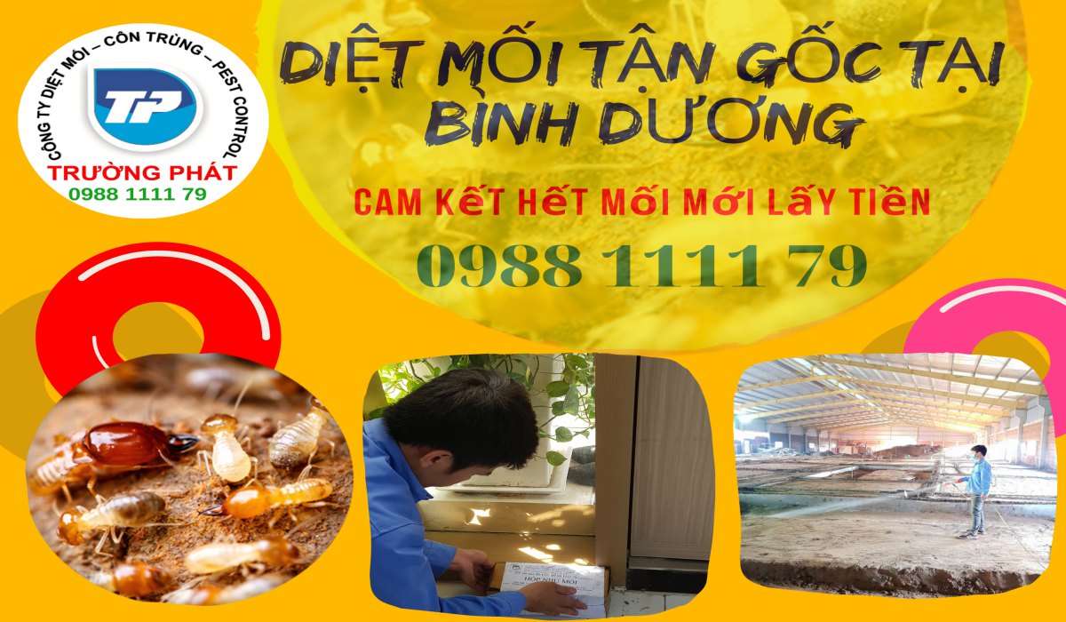Diệt mối tận gốc tại bình dương uy tín nhất Diệt mối tận gốc tại bình dương uy tín nhất