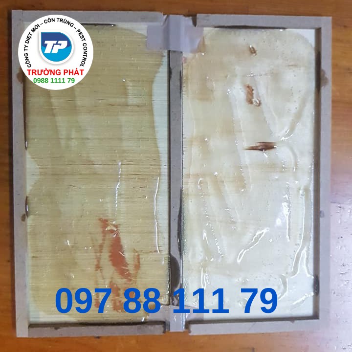 Keo bẫy chuột Keo bẫy chuột