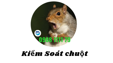 DIỆT CHUỘT và BẪY CHUỘT DIỆT CHUỘT và BẪY CHUỘT