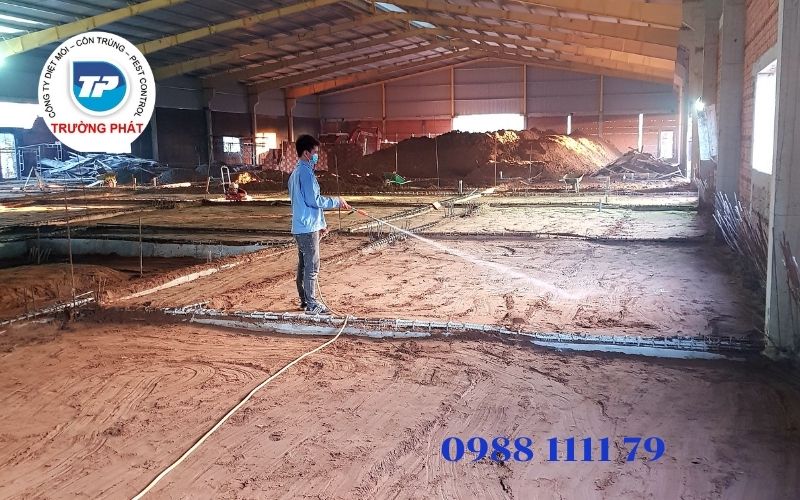 Làm thế nào để phòng chống mối xâm nhập vào nhà của bạn ngay từ ban đầu Làm thế nào để phòng chống mối xâm nhập vào nhà của bạn ngay từ ban đầu