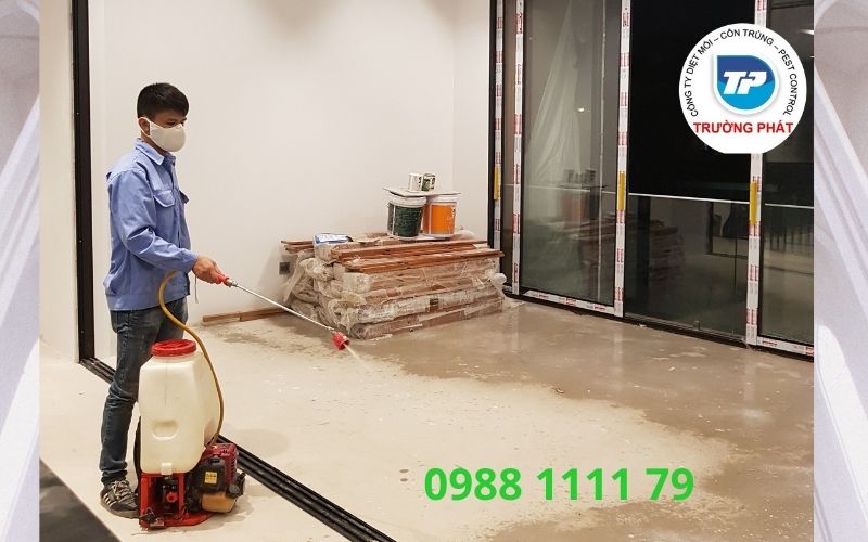 Làm thế nào để phòng chống mối xâm nhập vào nhà của bạn ngay từ ban đầu Làm thế nào để phòng chống mối xâm nhập vào nhà của bạn ngay từ ban đầu