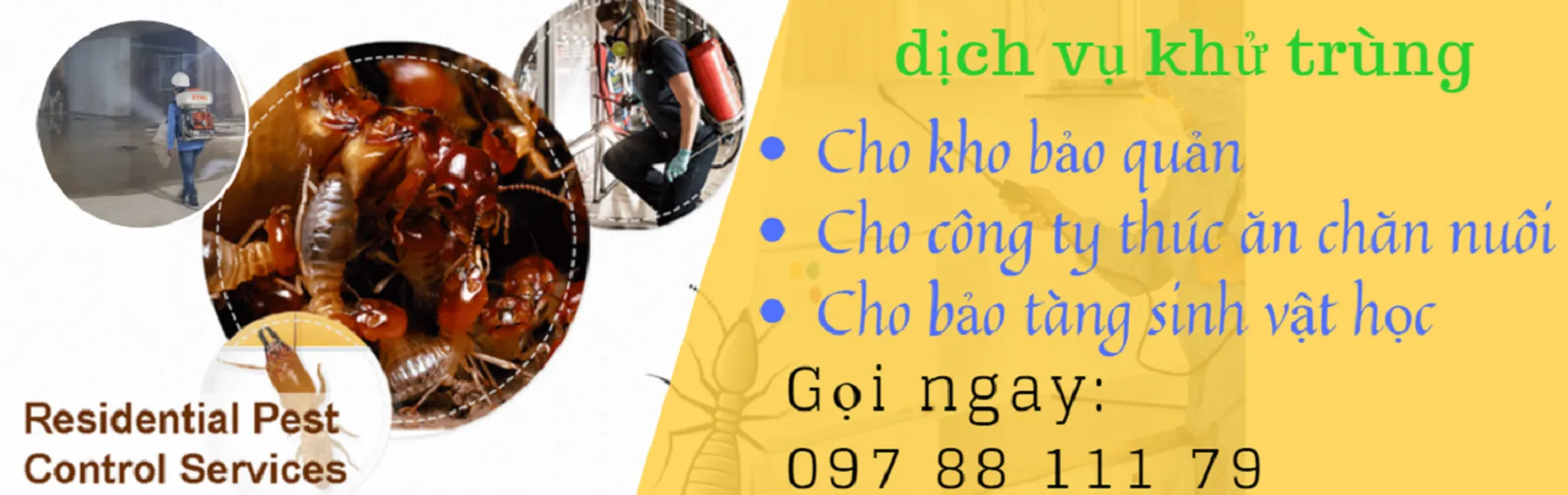 Dịch vụ diệt côn trùng Dịch vụ diệt côn trùng