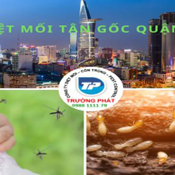 Diệt Mối Tận Gốc Tại Quận 1