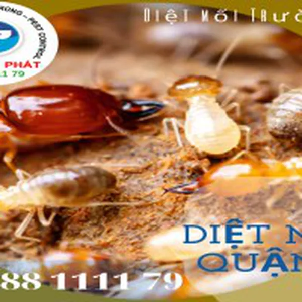 Diệt Mối Tận Gốc Quận 7 - Diệt Mối Trường Phát