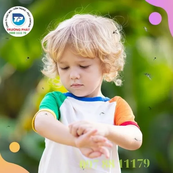 Cách diệt muỗi trong phòng để gì để đuổi muỗi