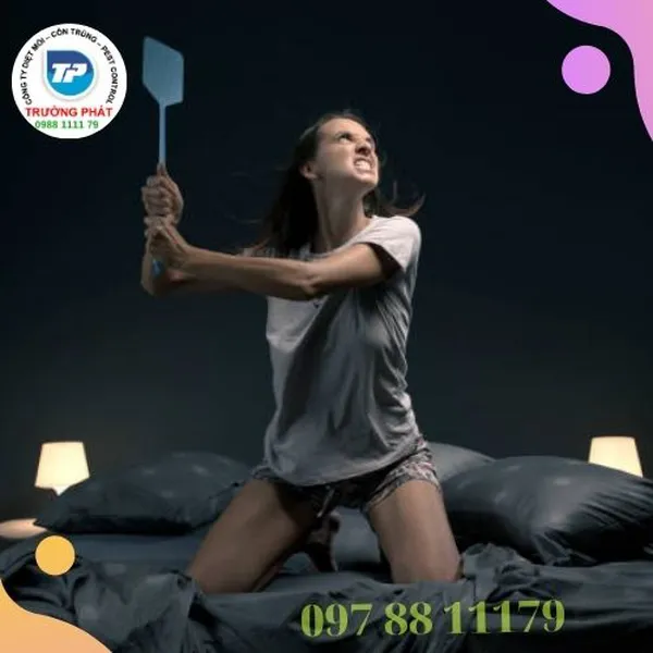 Cách đuổi muỗi và muỗi ngủ khi nào