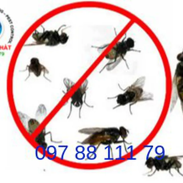 Kiểm Soát Ruồi- Diệt Ruồi Tận Gốc