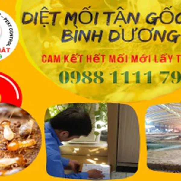 Diệt mối tận gốc tại bình dương uy tín nhất