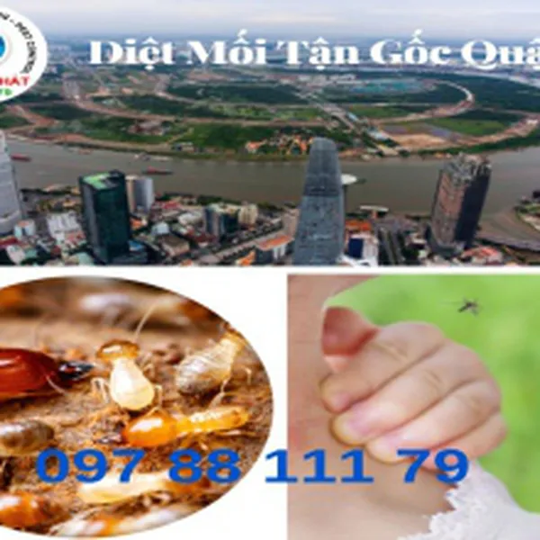 Dịch vụ  diệt mối tận gốc quận 2