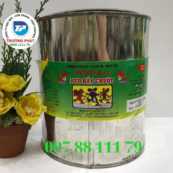 Hộp Keo Dính Chuột