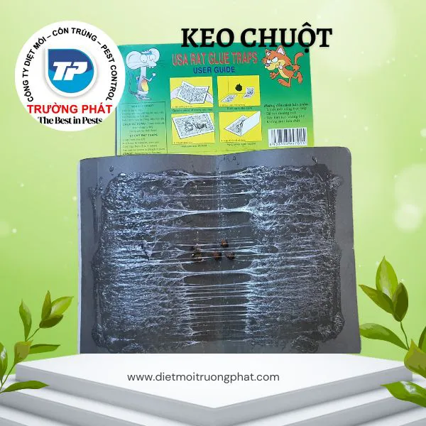 Bộ Keo Dính Chuột 2 miếng