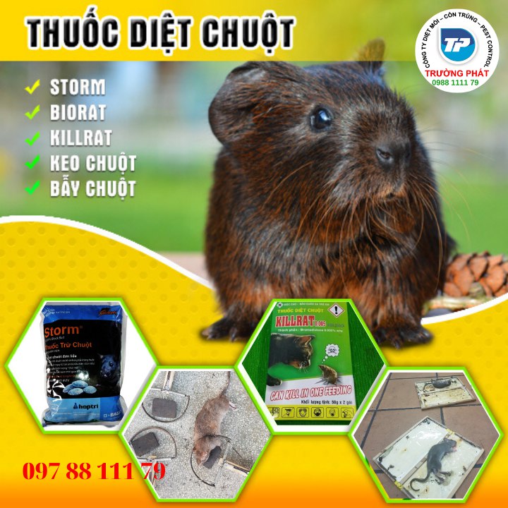Thuốc diệt chuột Killrat Thuốc diệt chuột Killrat