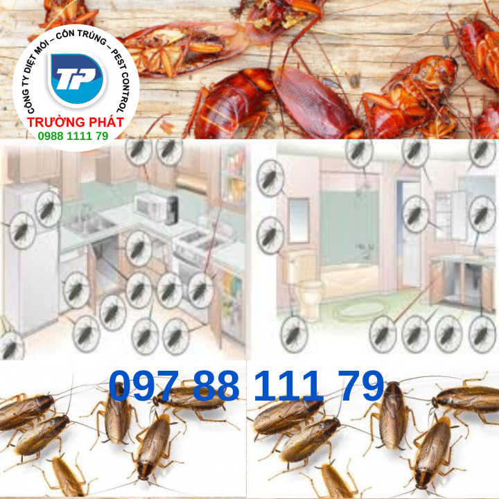 Thuốc diệt gián đức Advion Cockroach Gel Thuốc diệt gián đức Advion Cockroach Gel