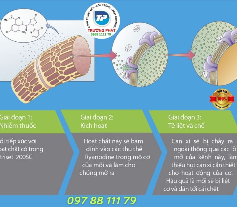 Thuốc diệt mối tận gốc Altriset 200SC Thuốc diệt mối tận gốc Altriset 200SC