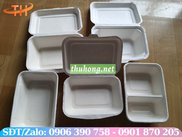 Hộp cơm bã mía đa dạng mẫu mã