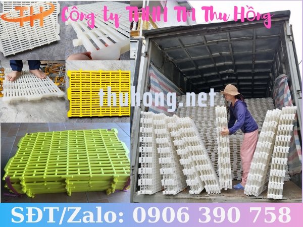 Cung cấp sỉ sàn nhựa chăn nuôi