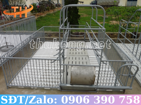 Sàn nhựa chuồng heo