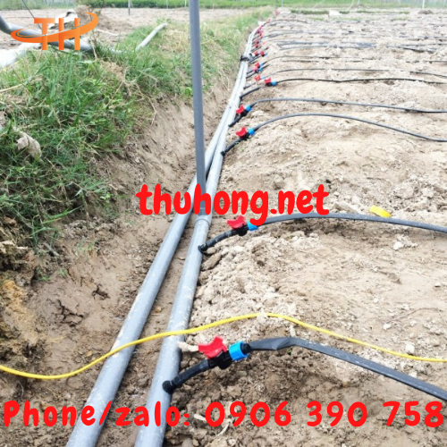 Van khởi thủy trong hệ thống tưới nhỏ giọt