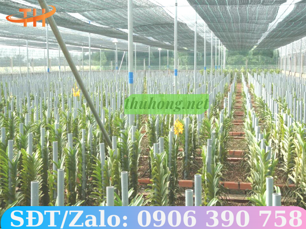 ứng dụng lưới che nắng