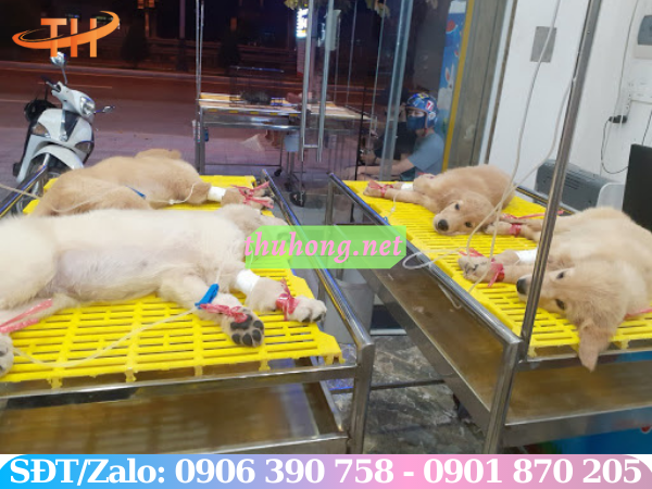 Sàn nhựa nuôi thú cưng