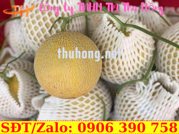 Lưới xốp bọc dưa lưới