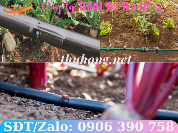 Ống tưới nhỏ giọt