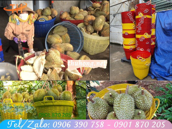 cần xé nhựa đựng sầu riêng