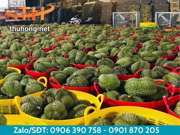 Cần xé nhựa được sử dụng rộng rãi để đựng nông sản Cần xé nhựa được sử dụng rộng rãi để đựng nông sản