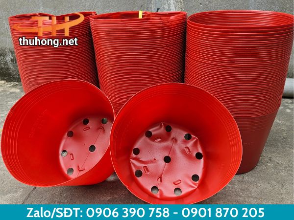 Chậu nhựa đẹp mắt cân đối Chậu nhựa đẹp mắt cân đối