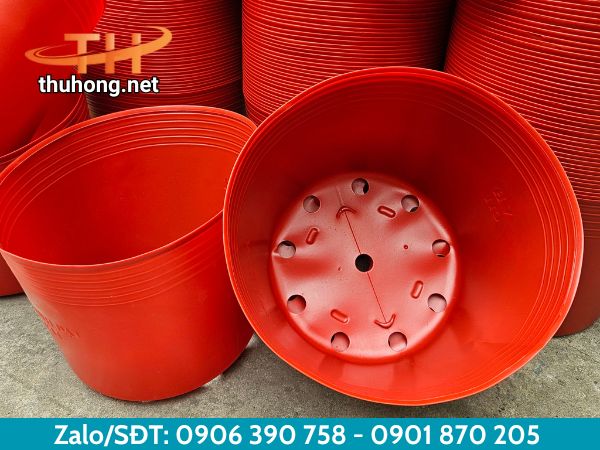 Chậu nhựa trồng cây tết màu đỏ Chậu nhựa trồng cây tết màu đỏ