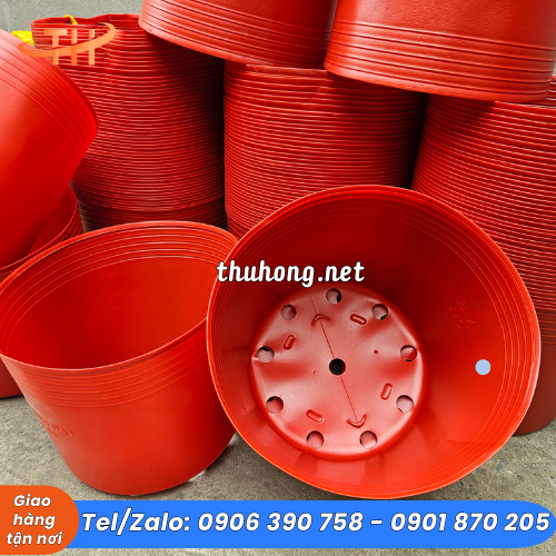 Chậu nhựa mềm màu cam trồng bông Tết Chậu nhựa mềm màu cam trồng bông Tết