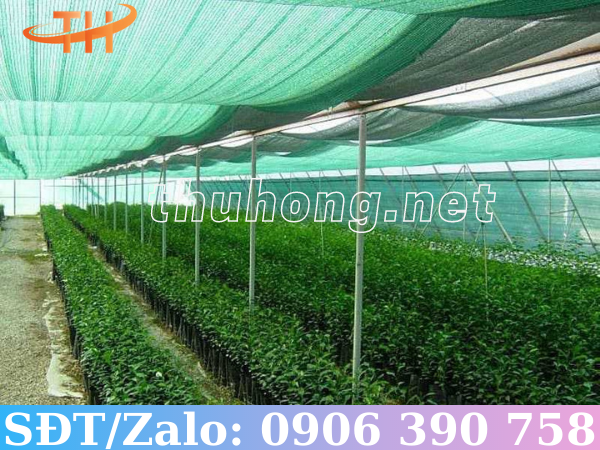 Lưới che nắng bảo vệ vườn ươm