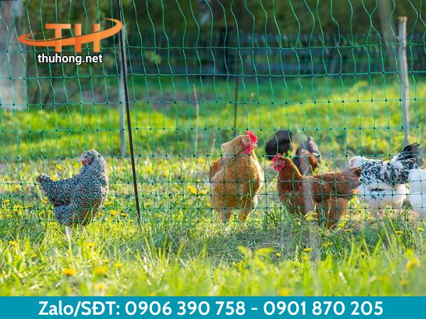 Công dụng của lưới cước Công dụng của lưới cước