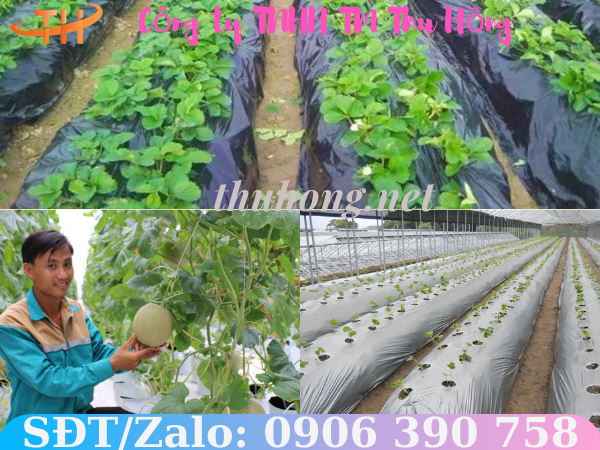 Công dụng của màn phủ nông nghiệp