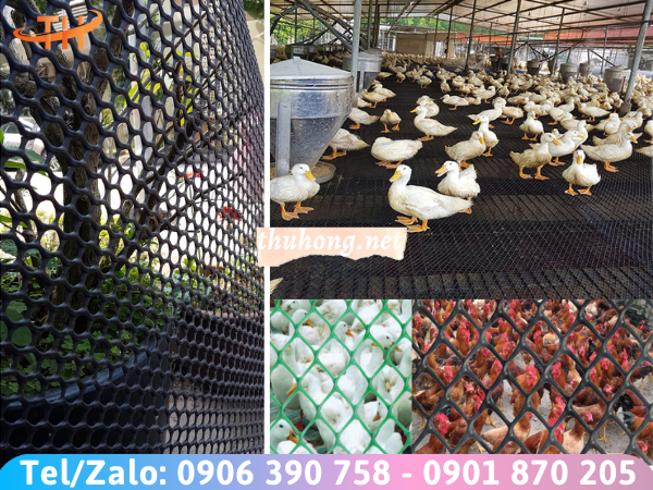 Ứng dụng lưới mắt cáo nhựa đen