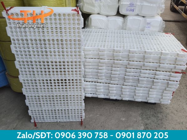 Cung cấp sàn nhựa chất lượng dùng trong chăn nuôi Cung cấp sàn nhựa chất lượng dùng trong chăn nuôi