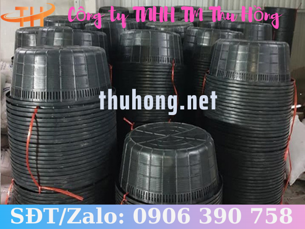 Cung cấp sỉ rổ nhựa nuôi ngao thủy sản