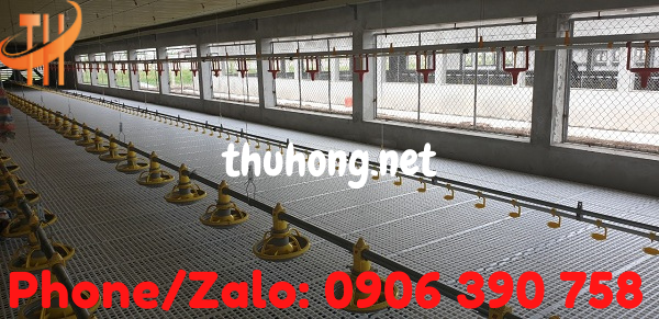 cung cấp sỉ sàn nhựa nuôi gà vịt chất lượng cao giá rẻ