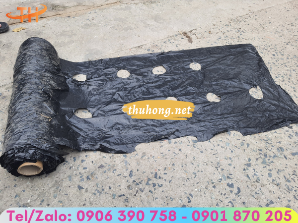 màng nông nghiệp đục lỗ