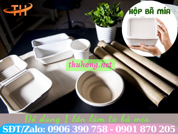 Đồ dùng bã mía dùng 1 lần tiện lợi