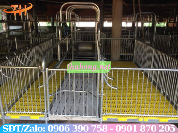 mô hình chuồng nuôi bằng sàn nhựa