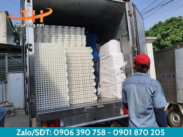 Giao sàn nhựa chăn nuôi tận nơi cho khách ở TPHCM Giao sàn nhựa chăn nuôi tận nơi cho khách ở TPHCM