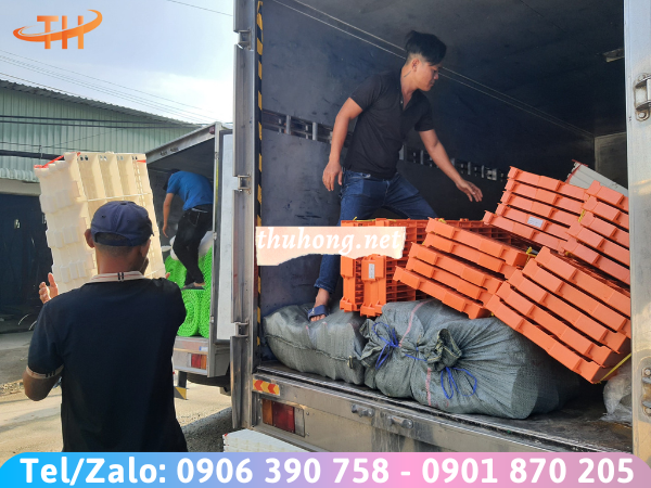 giao hàng sàn nhựa chăn nuôi