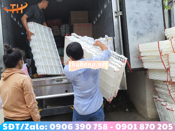 giao hàng sàn nuôi dê