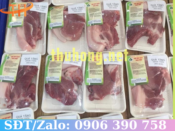 Khay đựng thực phẩm bằng bã mía