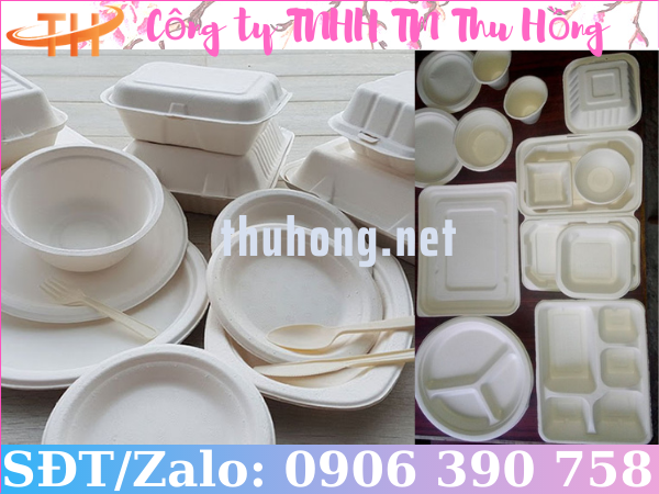 Sản phẩm làm từ bã mía