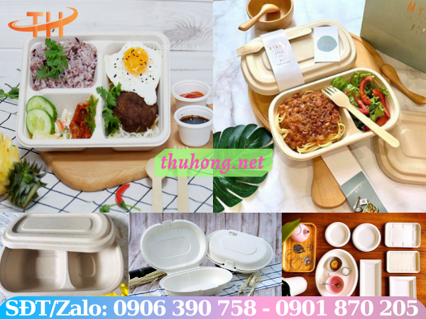 Sản phẩm bã mía có thiết kế đa dạng và bắt mắt