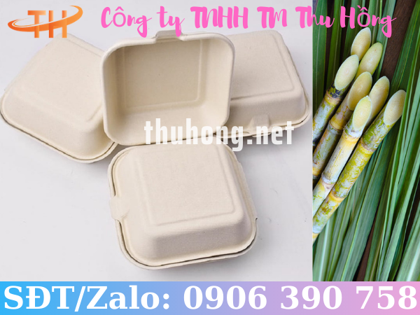 Hộp bã mía vuông 1 ngăn