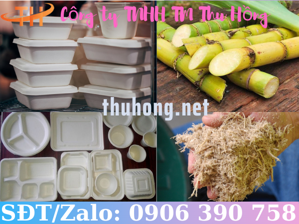 Hộp bã mía đựng thức ăn nhanh